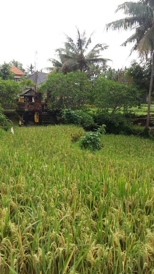 Pondok Tulasi Semaya House กีอันยาร์ ภายนอก รูปภาพ
