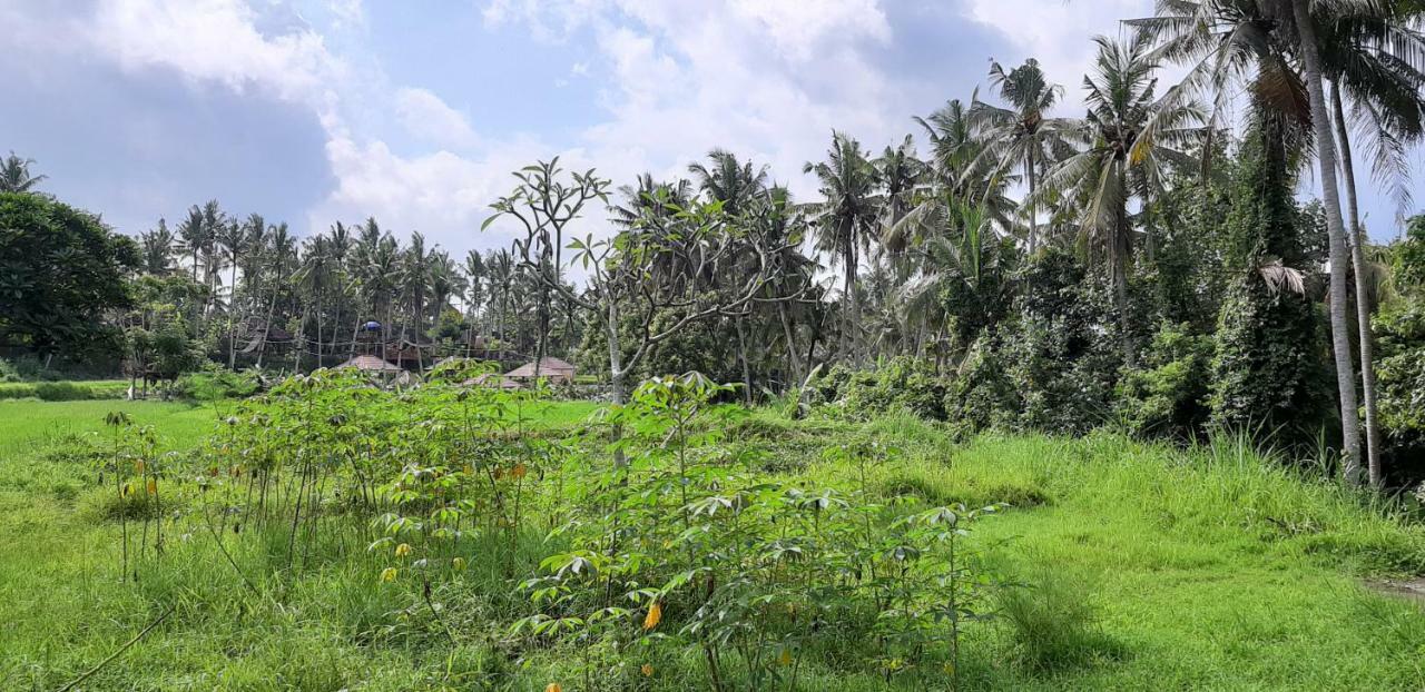 Pondok Tulasi Semaya House กีอันยาร์ ภายนอก รูปภาพ