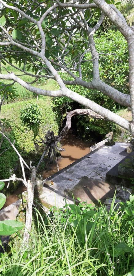 Pondok Tulasi Semaya House กีอันยาร์ ภายนอก รูปภาพ
